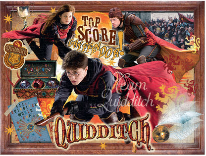 Puzzle Harry Potter Quidditch 1000pc